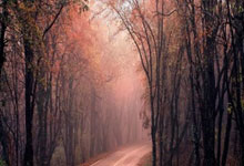 开云体育在线-西雅图海湾者迎战西悉尼流浪者，防守反击或成致胜关键