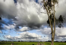 开云体育平台APP-摩洛哥瓦赫达替补席深度成优势，冲击世俱杯冠军