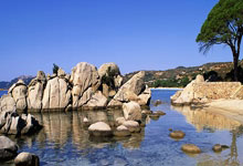 开云体育平台APP-摩洛哥瓦赫达替补席深度成优势，冲击世俱杯冠军