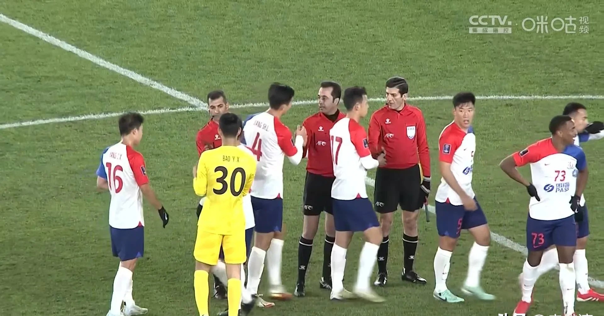 开云体育平台APP-保加利亚队力克对手，打进欧洲杯资格赛下一轮的简单介绍