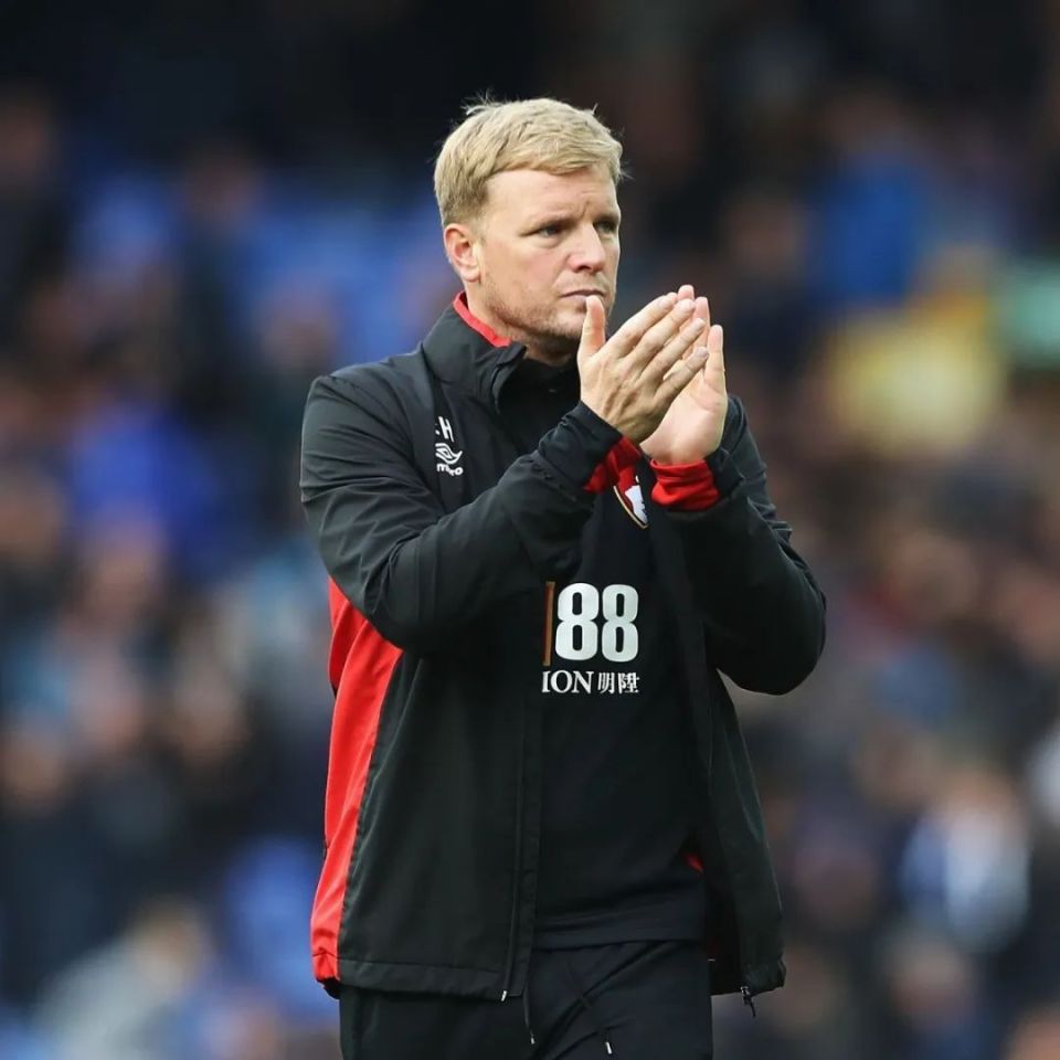 英格兰国家队主教练宣布辞职，球迷对新任帅位猜测不断的简单介绍