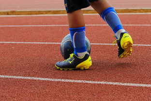 开云平台-塔斯马尼亚联技战术演练密集，冲刺冠军全力以赴