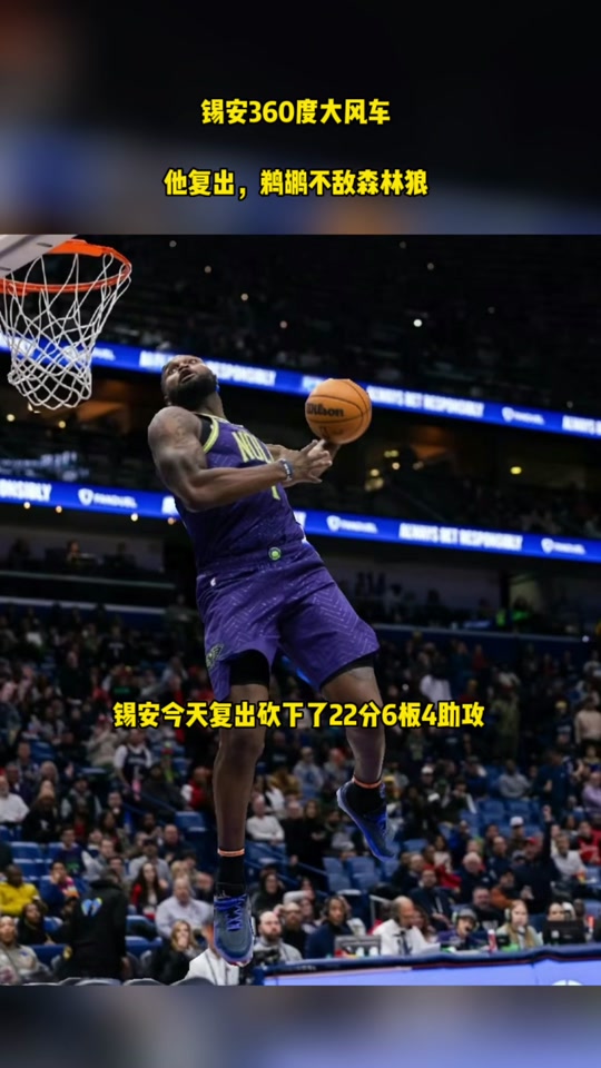 包含鹈鹕主场击败森林狼，连续两战取胜的词条