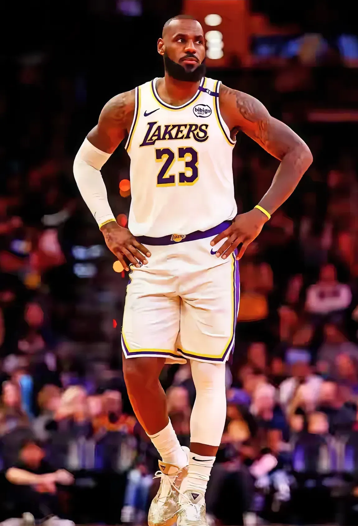 湖人击败国王，领先优势不减