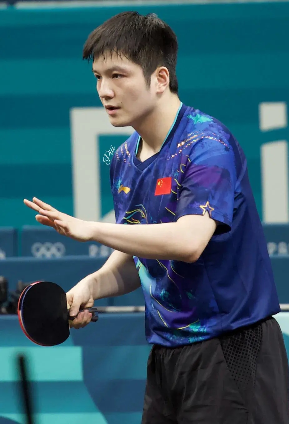 比利时乒乓球队强势波兰乒乓球队，樊振东打破历史纪录的简单介绍