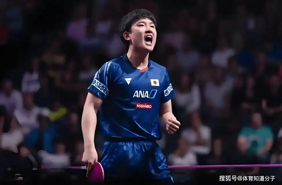 韩国队轻取葡萄牙队,张本智和状态火热 韩国队轻取葡萄牙队,张本智和状态火热