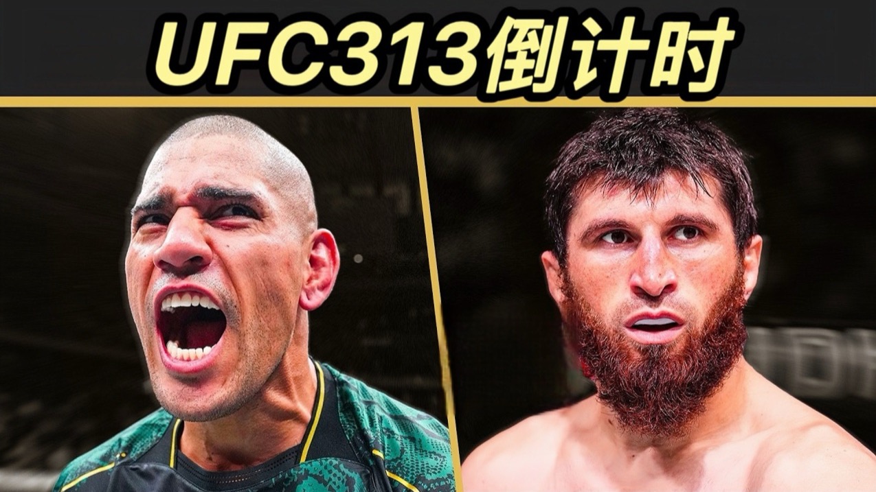 年终总决赛横扫ATP总决赛，穆雷刷新纪录