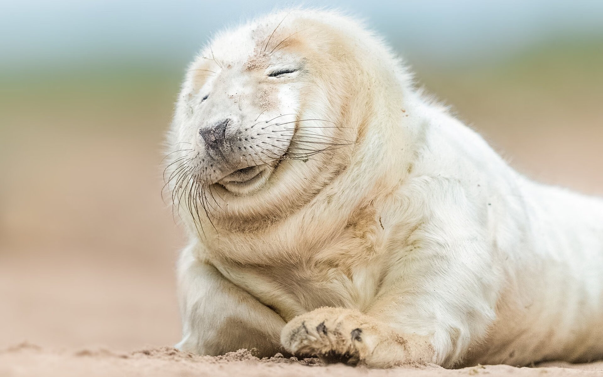 无名塔图姆改写历史,鹈鹕惊天压哨绝杀背后的卑微与伟大