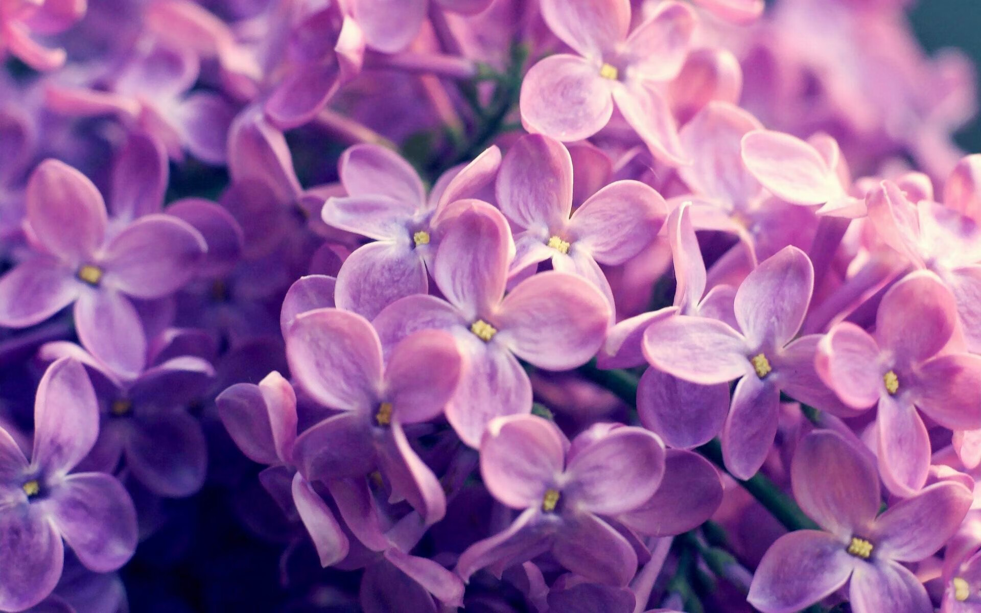 撕裂的金州防线，当马克西的冰冷方程式冻结勇士风暴