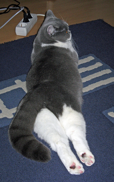 开云平台-保罗冠军级表现难掩团队乏力，广东队连续得分狂潮压制太阳