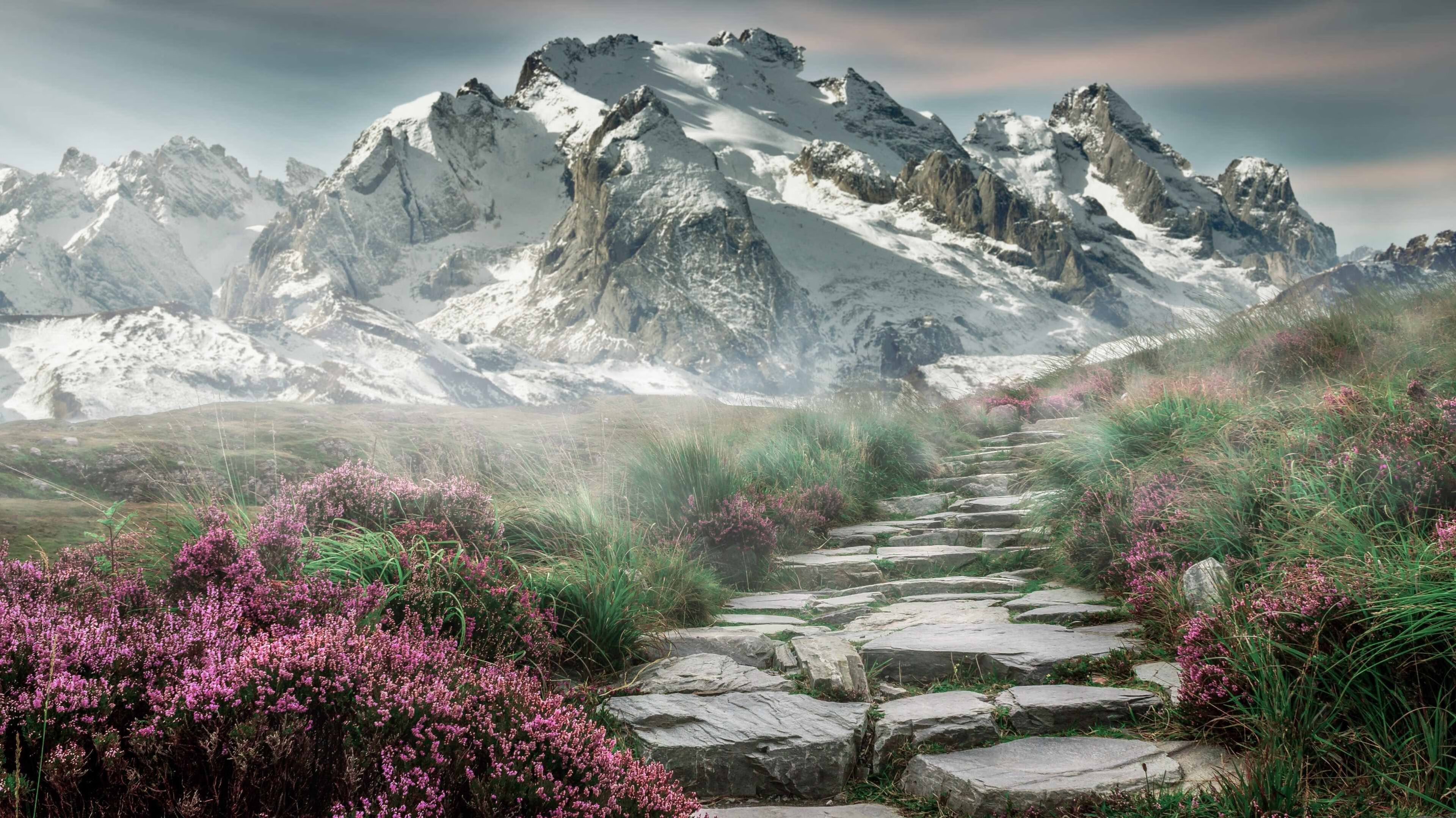 战术碾压与巨星闪耀，格列兹曼关键一击，法国队如国际米兰般全面压制加纳