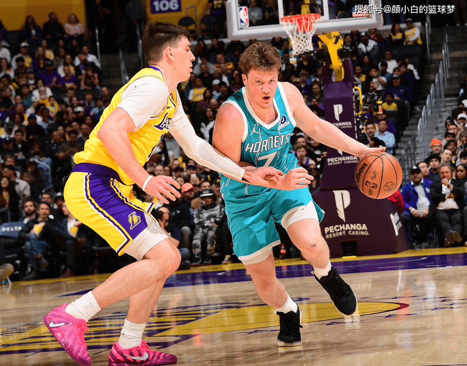 黄蜂对阵篮网，东契奇成为全场焦点