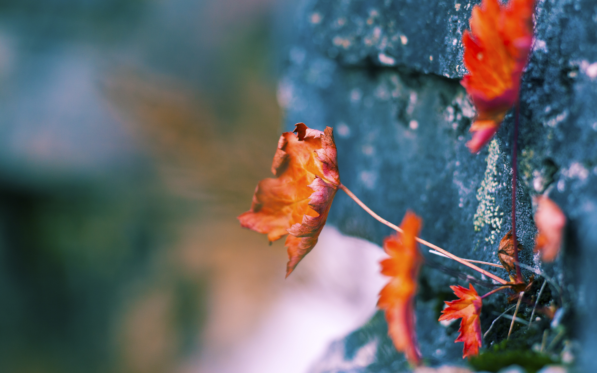 开云下载-关键先生贝恩，沉默一击铸就76人得分霸权的幕后密码