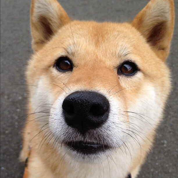 战术显微镜下的金玟哉与系统霸权,当曼城的阴影笼罩波兰足球