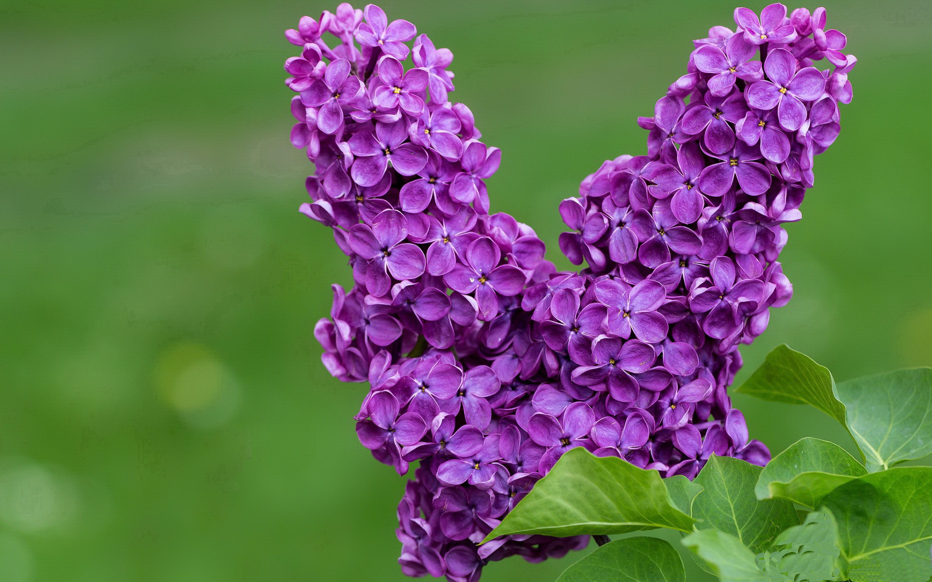 破晓之时,阿什拉夫在慕尼黑的钢铁风暴中改写王座法则