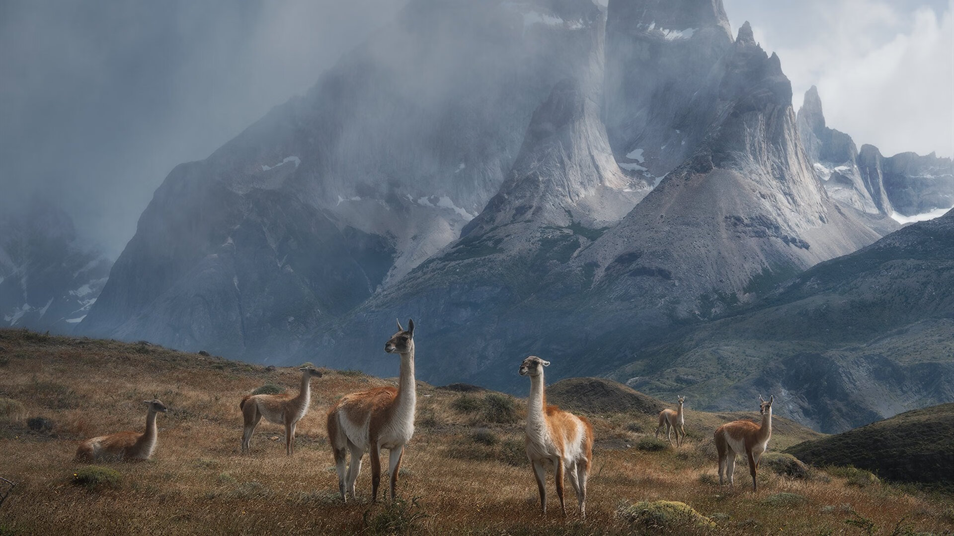 狼性的觉醒，当篮球的野性撕碎华丽，足球的智慧面临终极审判