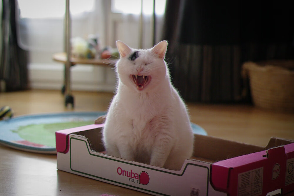 开云体育入口-米切尔狂砍37分诠释核心价值，浙江队用胜利彰显强队底蕴