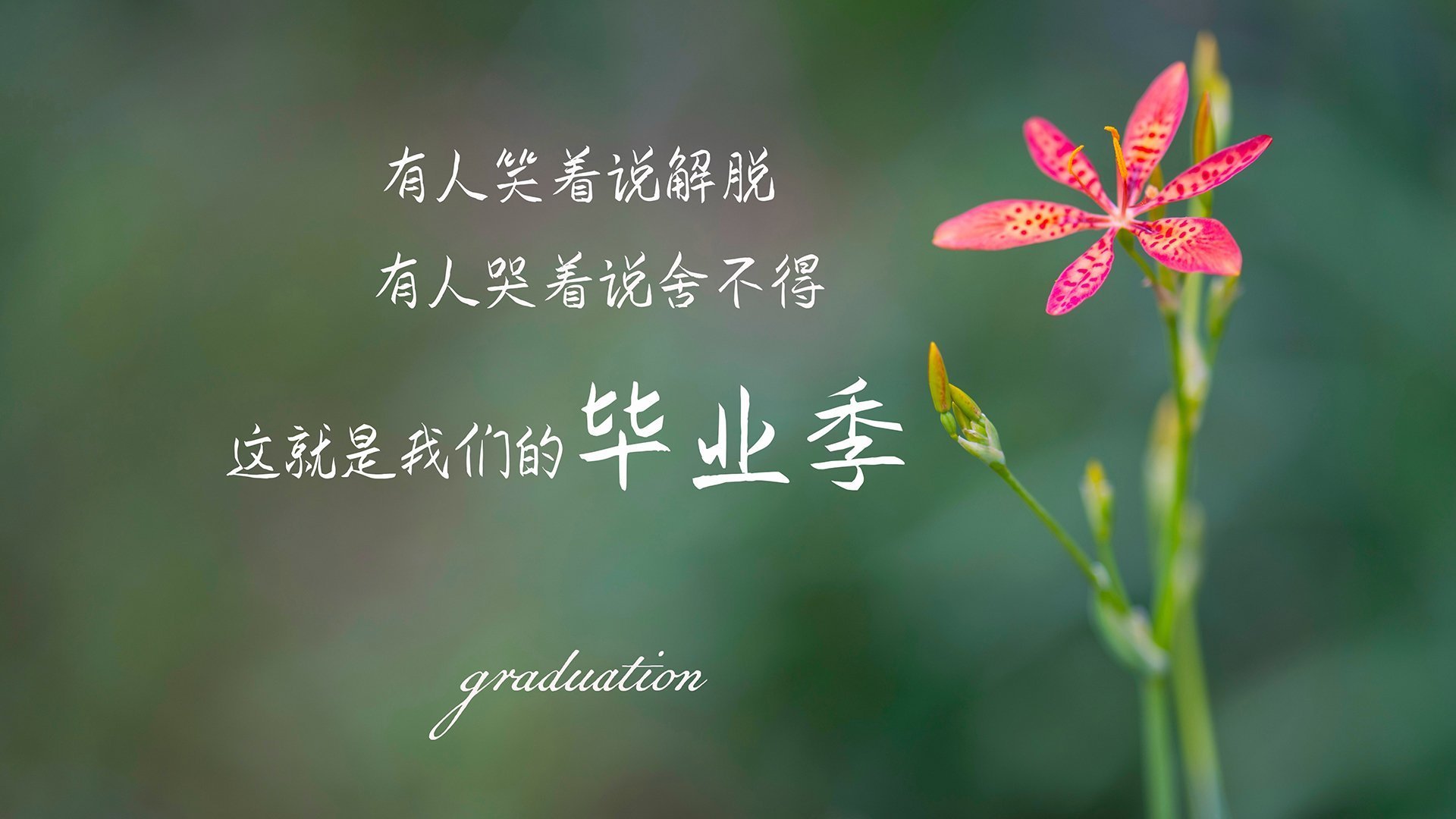 开云APP-维尼修斯之矛，刺破沙漠之盾，一场关乎命运的非典型战役